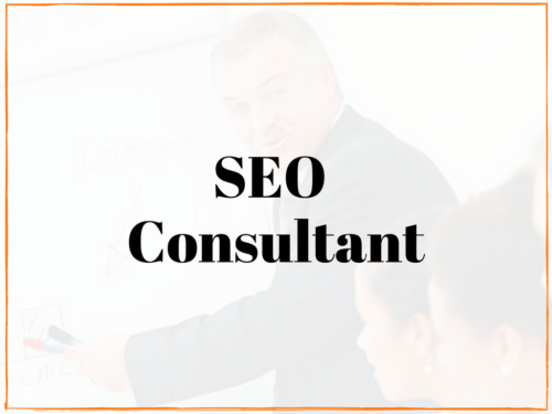 local milwaukee seo consultant service