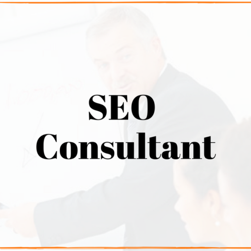 local milwaukee seo consultant service
