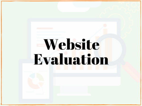 website evaluation test my website local website review