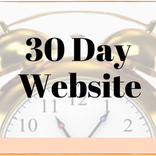 get new website in 30 day website