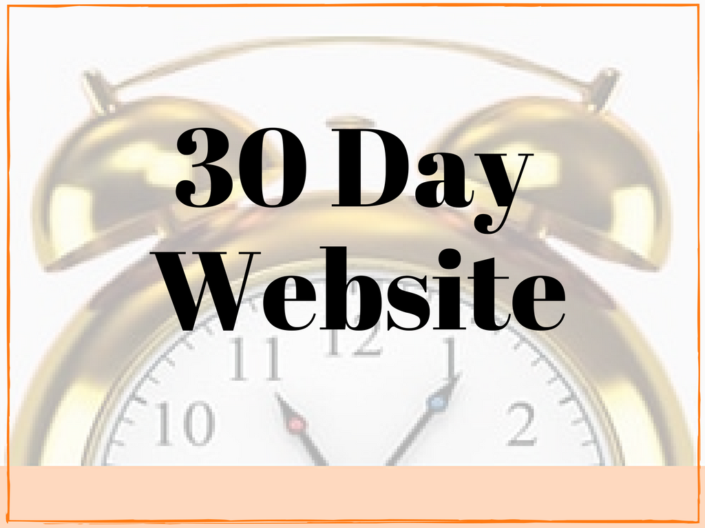 get new website in 30 day website