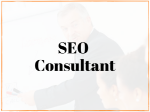 local milwaukee seo consultant service