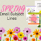 152 Spring Holiday Email Subject Line Ideas – UPDATED 2020